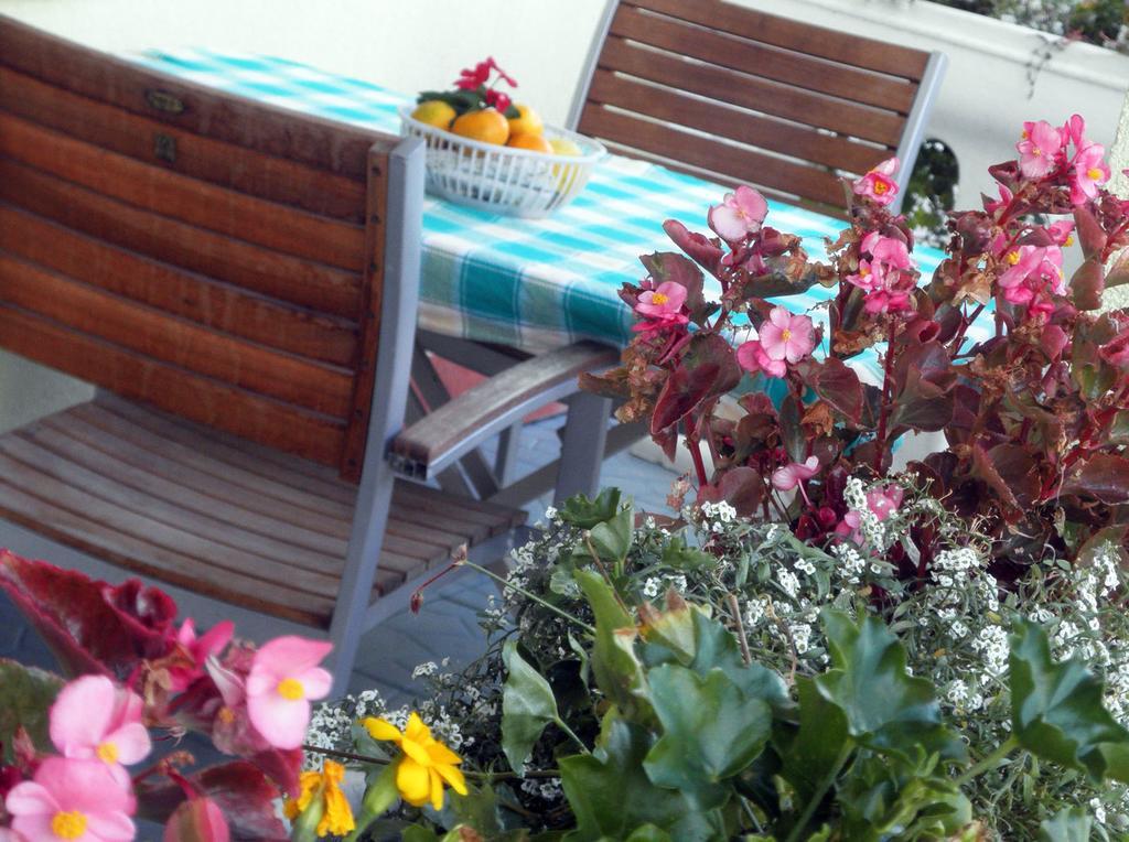 Apartmani Delfin Grebaštica Extérieur photo